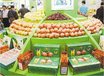 德合鑫農(nóng)副產(chǎn)品展銷會“廣西行”即將啟動(dòng)，首站落地百色
